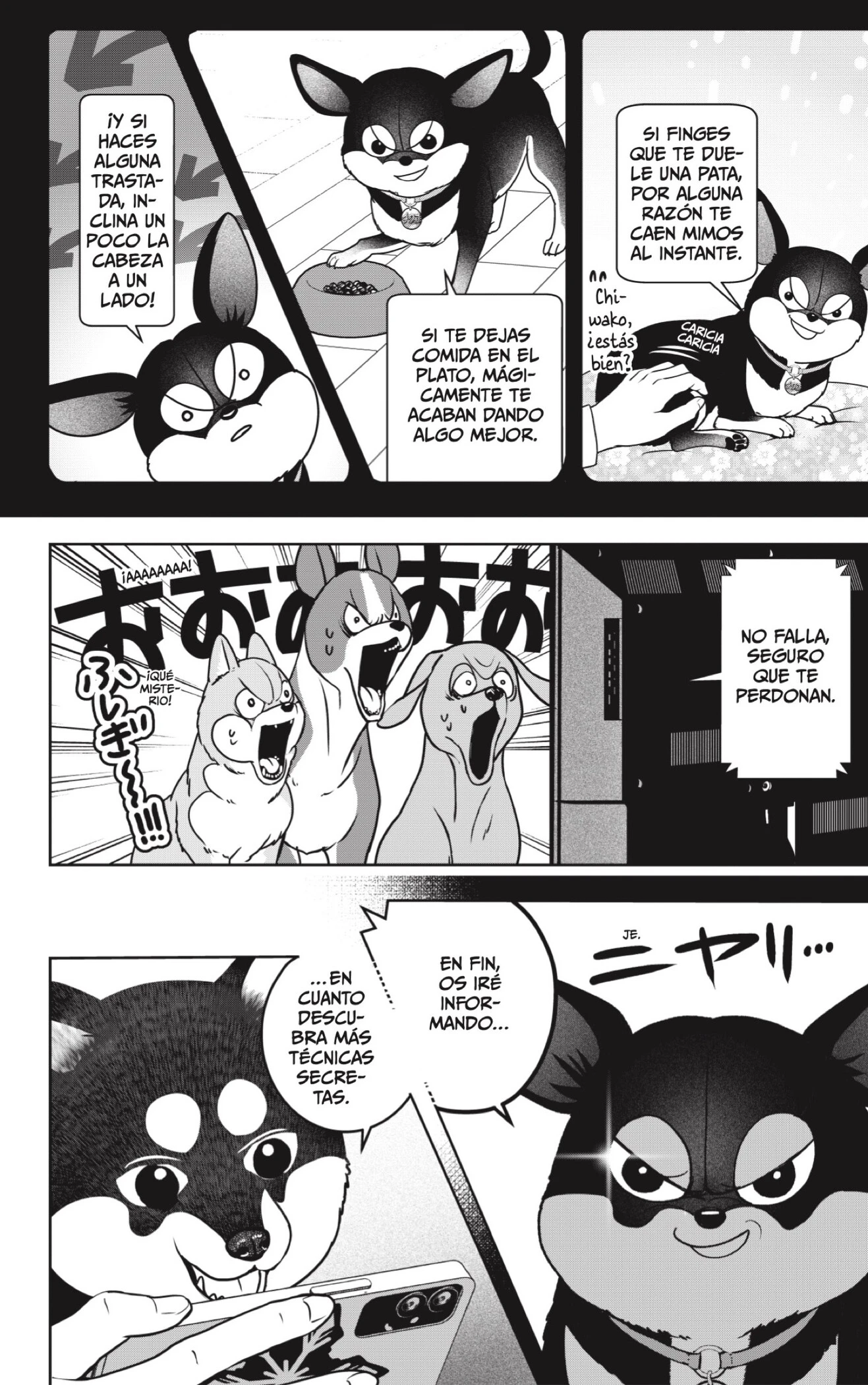 Shibatsuki Bukken - Capítulo 52 - Página 14 - LectorTMOo
