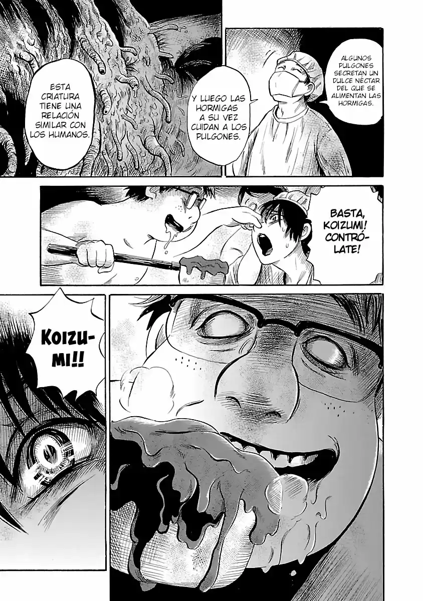 Shibito No Koe O Kiku Ga Yoi - Capítulo 47 - Página 17 - LectorTMOo