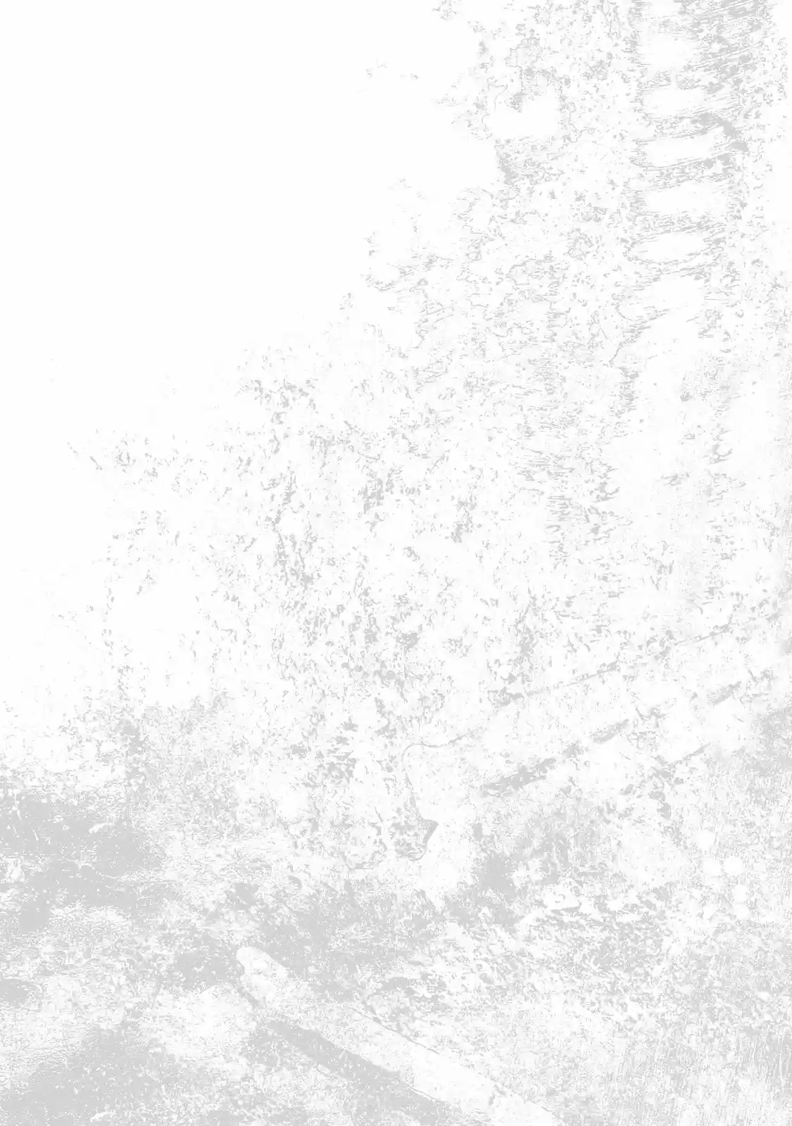 Shiga Hime - Capítulo 2 - Página 42 - LectorTMOo