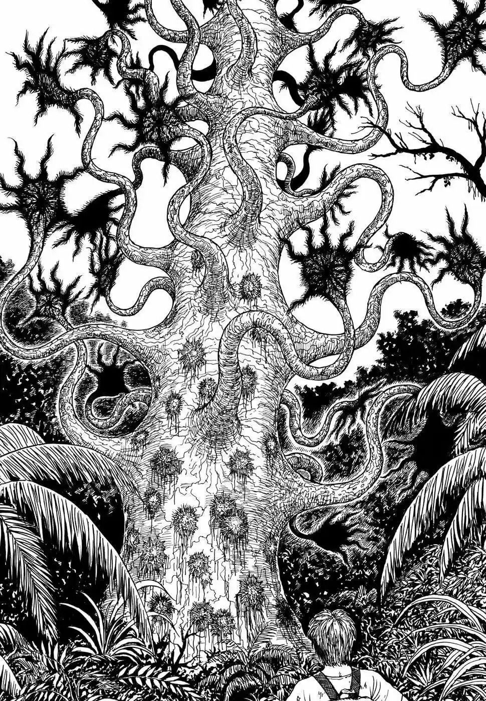 Shin Yami No Koe - Kaidan - Capítulo 7 - Página 30 - LectorTMOo