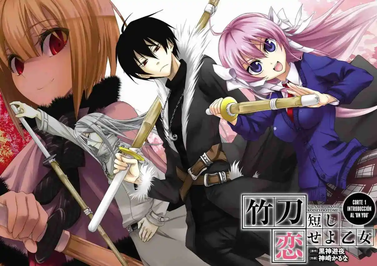 Shinai Mijikashi Koiseyo Otome - Capítulo 1 - Página 5 - LectorTMOo
