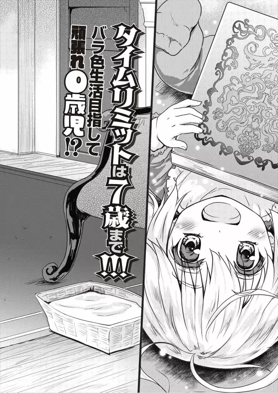 Shindou Sefiria No Gekokujou Program - Capítulo 1 - Página 5 - LectorTMOo