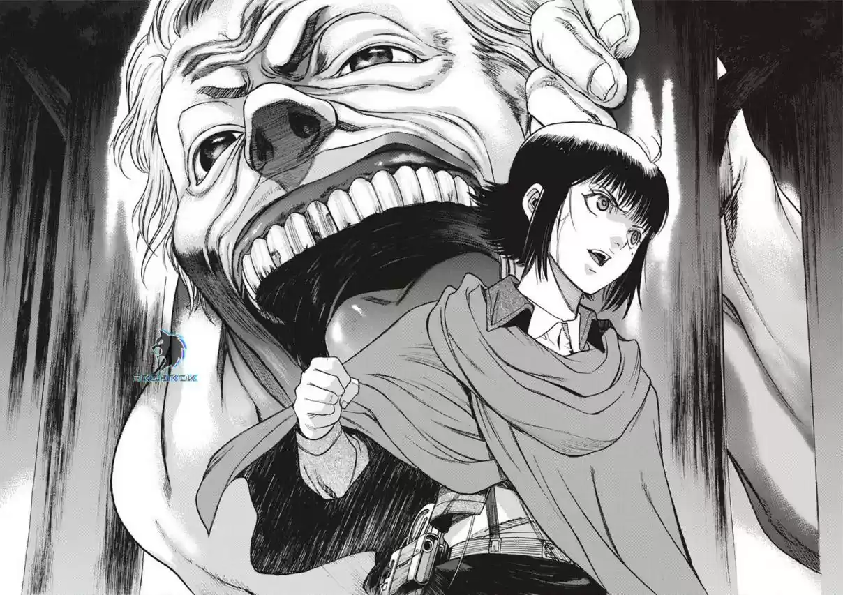 Shingeki No Kyojin - Hanano (doujinshi) - Capítulo 62 - Página 28 - LectorTMOo