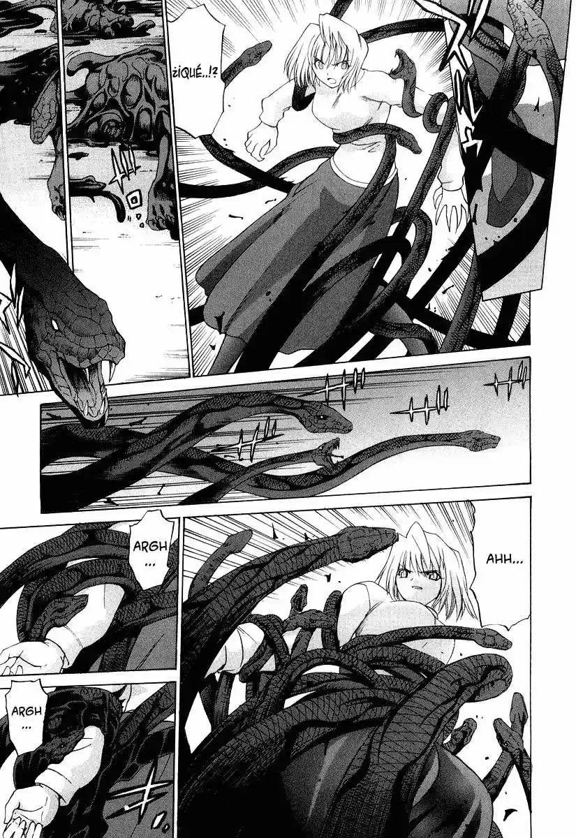 Shingetsutan Tsukihime - Capítulo 11 - Página 17 - LectorTMOo