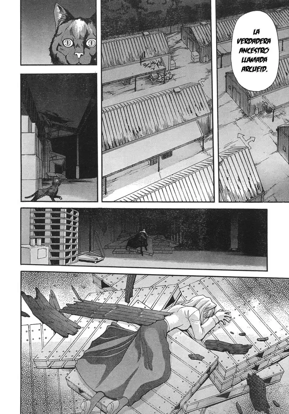 Shingetsutan Tsukihime - Capítulo 55 - Página 11 - LectorTMOo