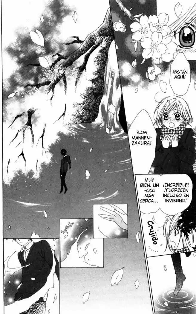 Shinigami X Doctor - Capítulo 5 - Página 6 - LectorTMOo
