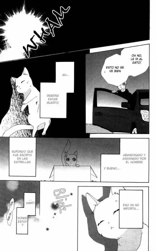 Shinigami X Doctor - Capítulo 6 - Página 4 - LectorTMOo