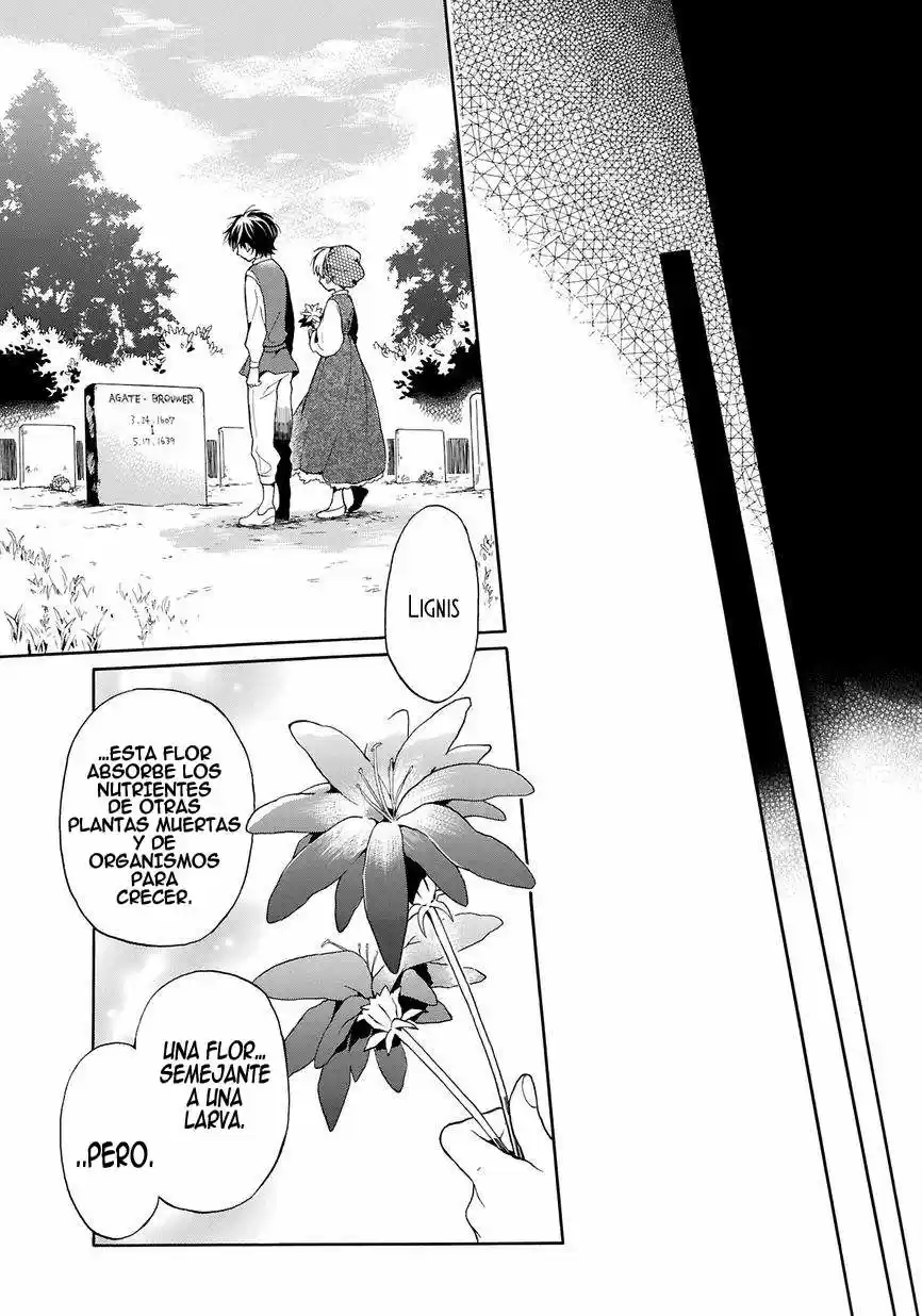 Shinigami X Doctor - Capítulo 0.1 - Página 38 - LectorTMOo