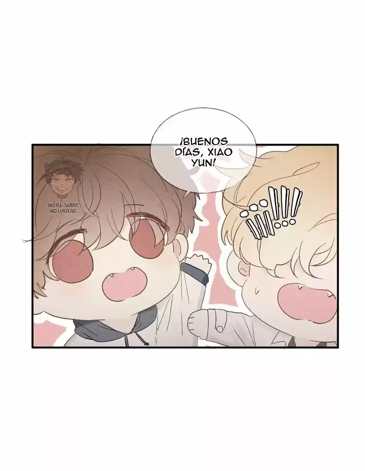 Shining Star - Capítulo 19 - Página 31 - LectorTMOo