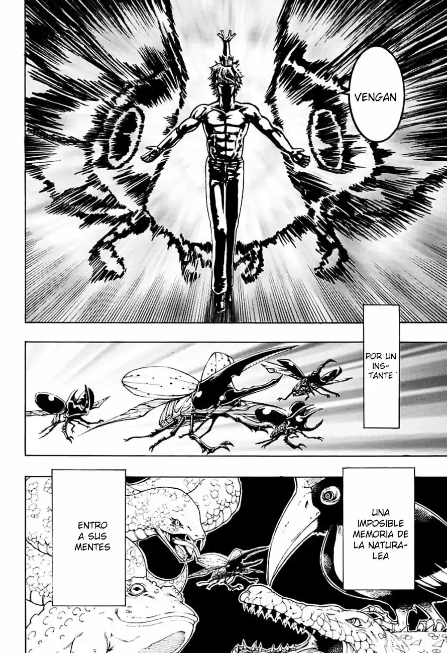 Shinrin Ousha Mori King - Capítulo 1 - Página 36 - LectorTMOo