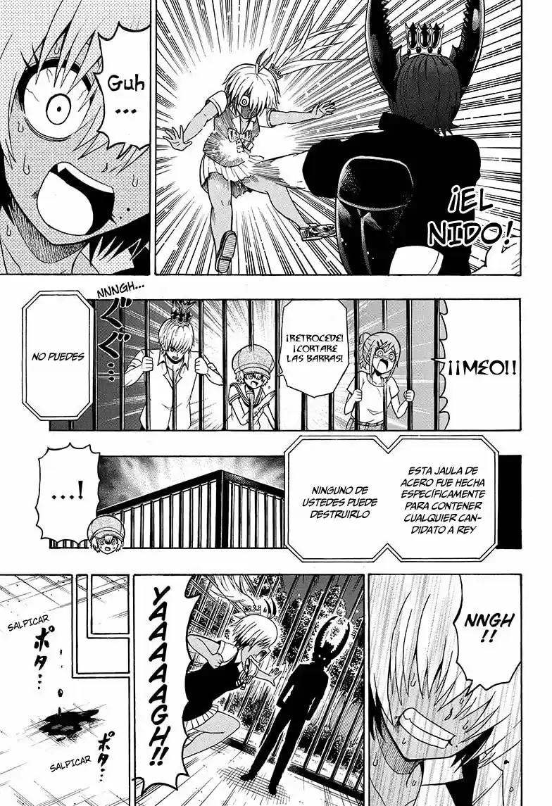 Shinrin Ousha Mori King - Capítulo 31 - Página 8 - LectorTMOo