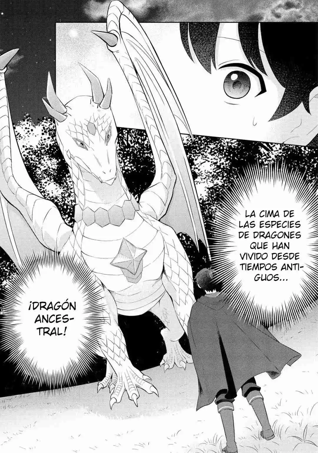 Shinryuu Teikoku No Dragon Tamer - Capítulo 2.10 - Página 12 - LectorTMOo