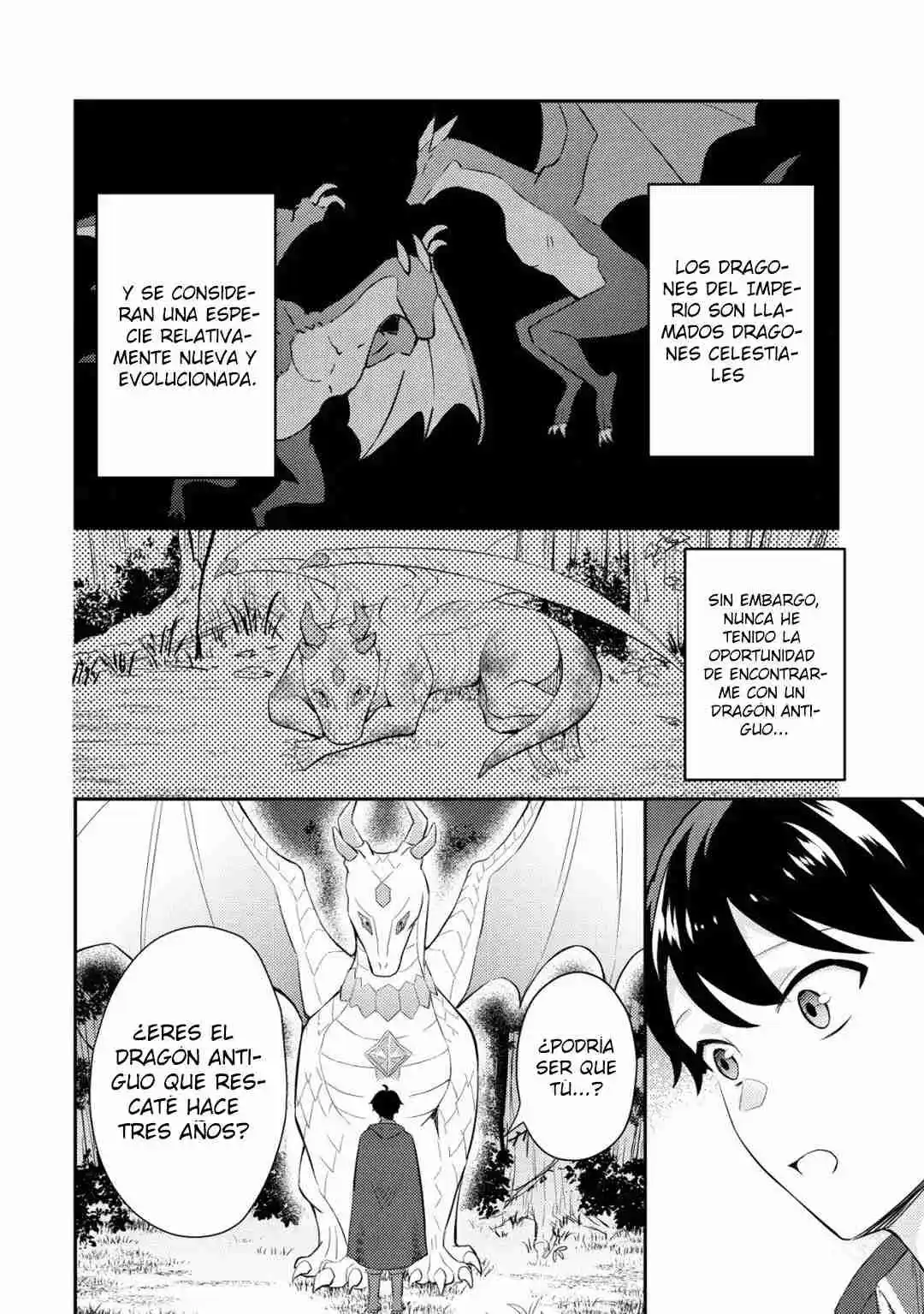Shinryuu Teikoku No Dragon Tamer - Capítulo 2.10 - Página 13 - LectorTMOo