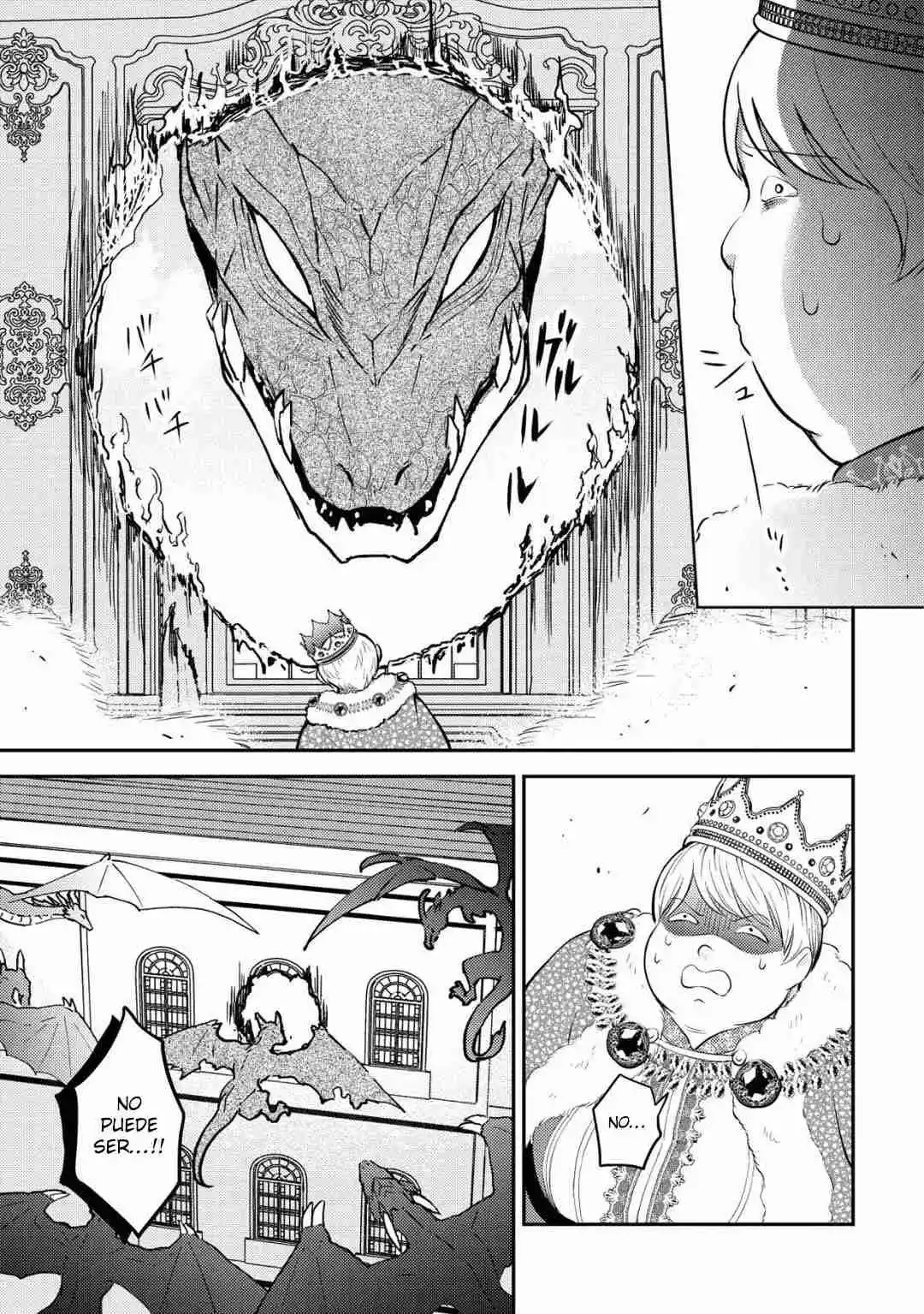 Shinryuu Teikoku No Dragon Tamer - Capítulo 2.20 - Página 8 - LectorTMOo