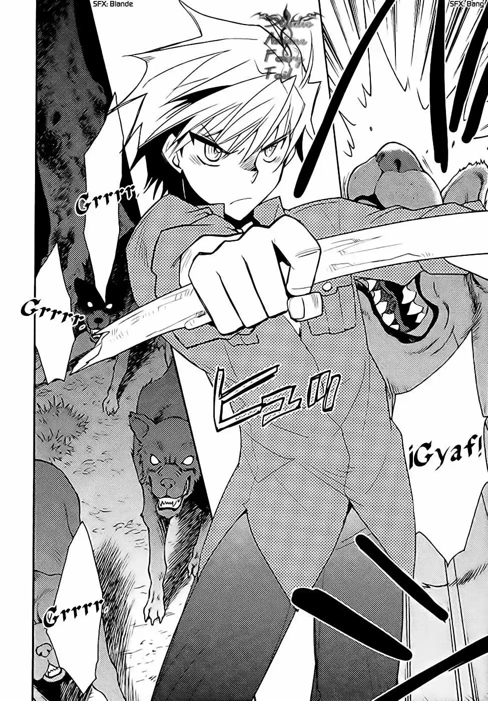 Shinyaku Ookami Ga Kuru! - Capítulo 34 - Página 20 - LectorTMOo