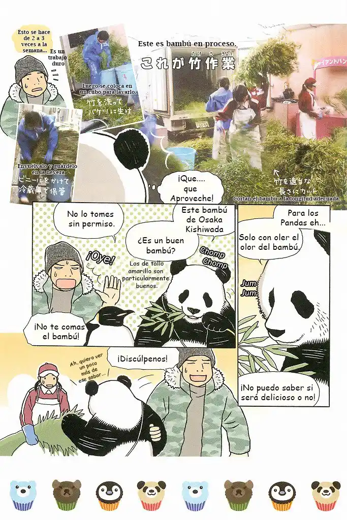 Shirokuma Kohi - Capítulo 15 - Página 6 - LectorTMOo