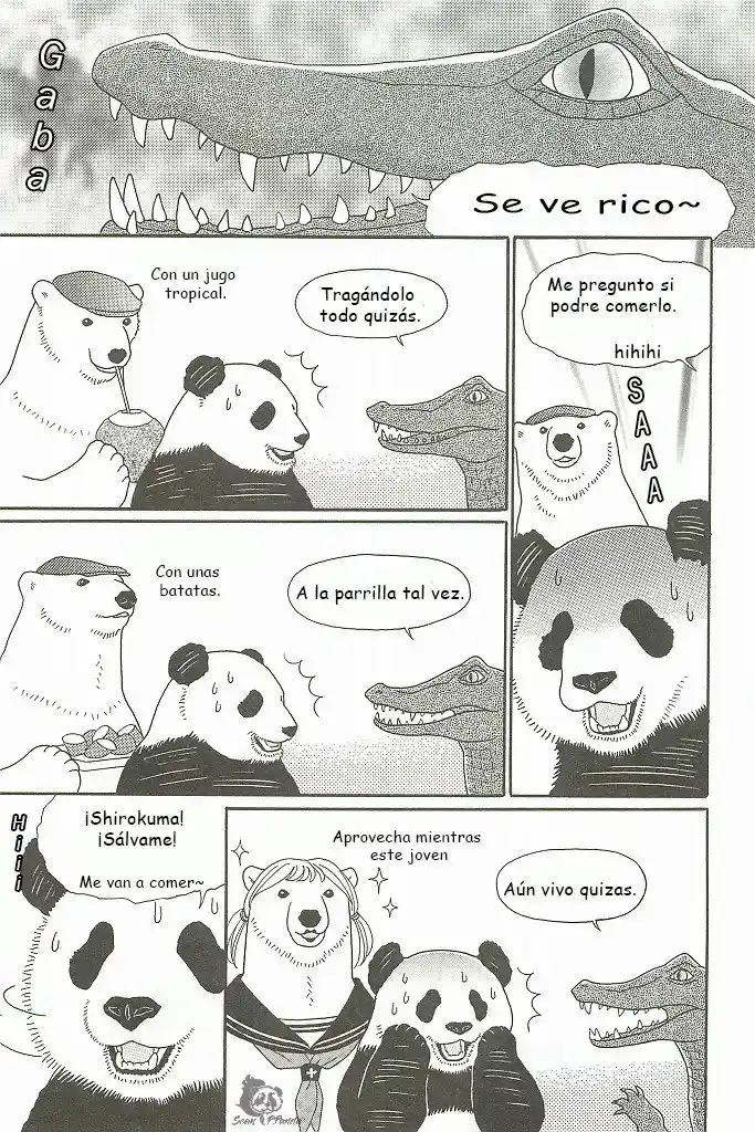 Shirokuma Kohi - Capítulo 17 - Página 8 - LectorTMOo
