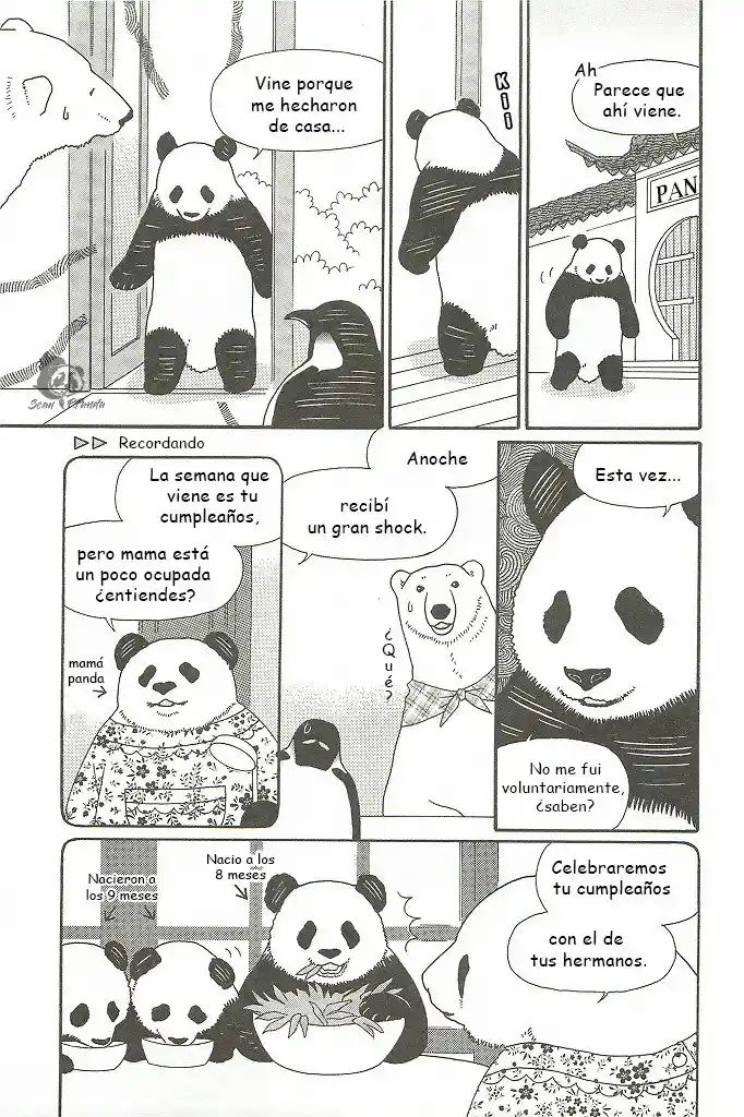 Shirokuma Kohi - Capítulo 19 - Página 4 - LectorTMOo