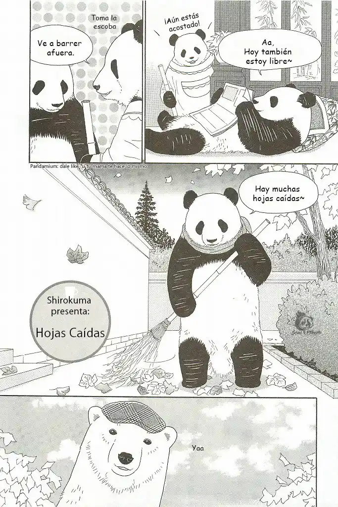 Shirokuma Kohi - Capítulo 8 - Página 2 - LectorTMOo