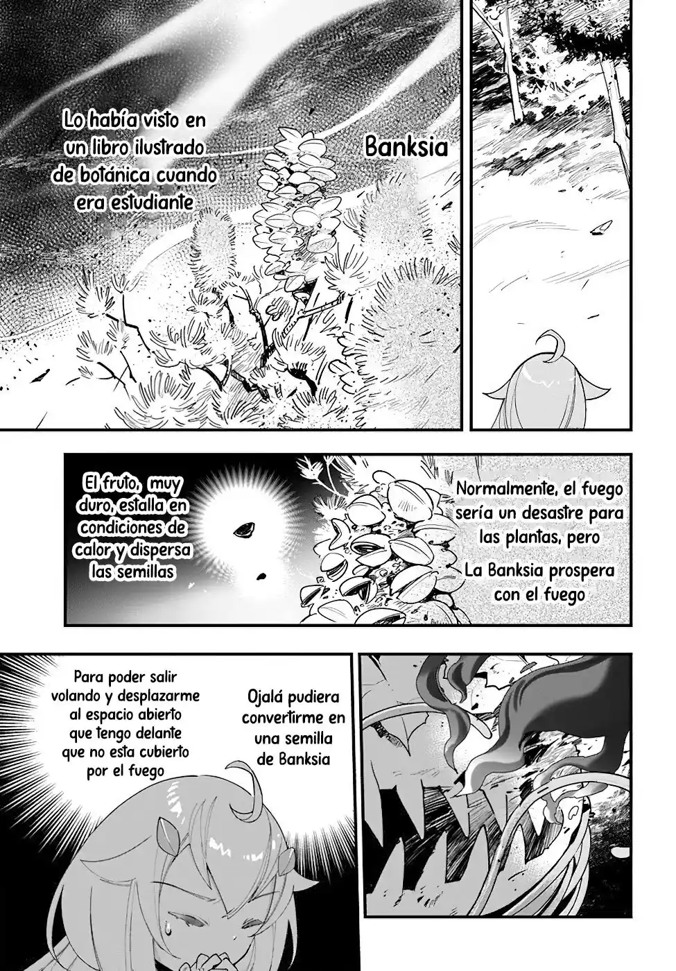 Shokubutsu Monster Musume Nikki capítulo 14 página 21
