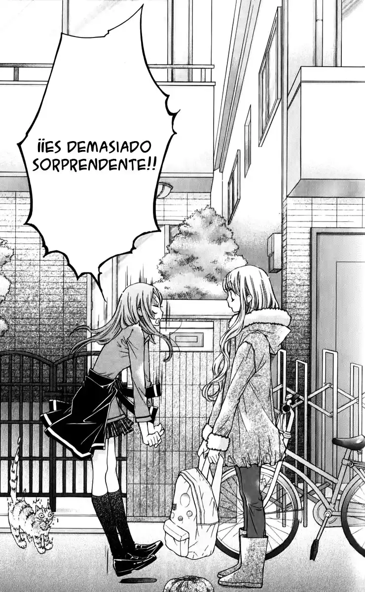 Shouri No Akuma - Capítulo 12 - Página 35 - LectorTMOo
