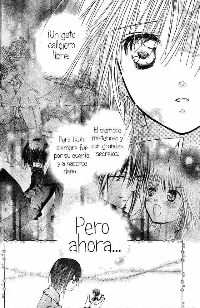 Shugo Chara - Capítulo 48 - Página 17 - LectorTMOo