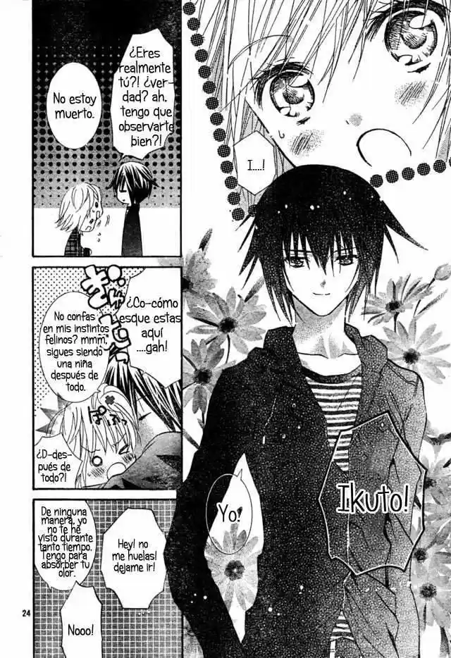 Shugo Chara - Capítulo 52 - Página 21 - LectorTMOo