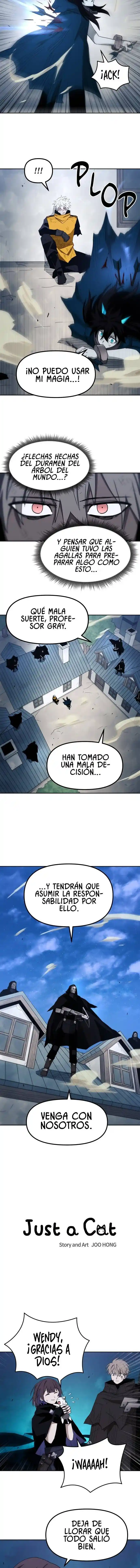 SOLO UN GATO - Capítulo 53 - Página 2 - LectorTMOo