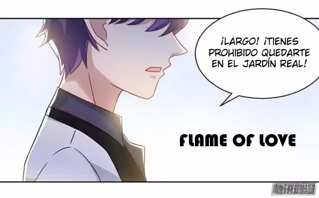 Spicy Girl Fight Evil Young Master - Capítulo 9 - Página 7 - LectorTMOo