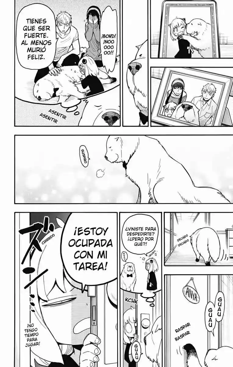 SPY×FAMILY capítulo 40 página 10