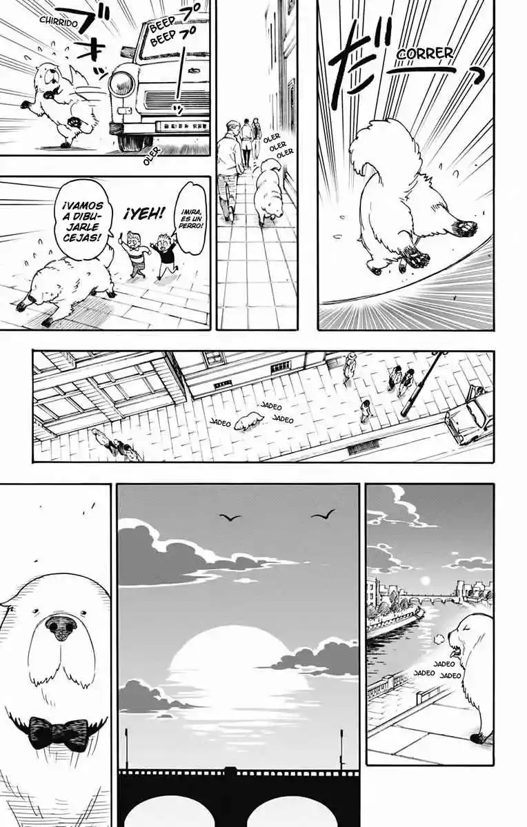 SPY×FAMILY capítulo 40 página 20