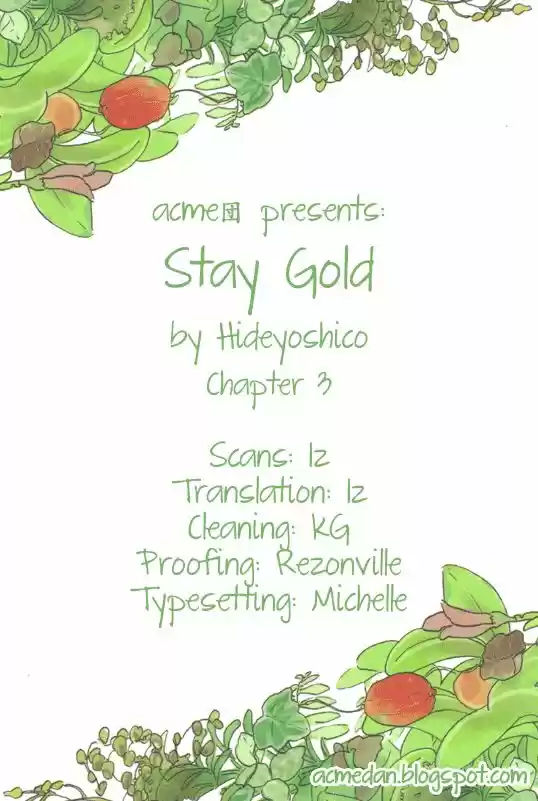 Stay Gold - Capítulo 3 - Página 5 - LectorTMOo
