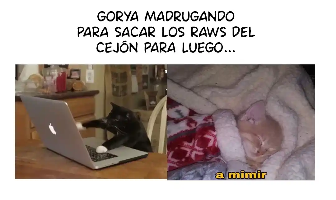 Sugar Rain - Capítulo 33 - Página 73 - LectorTMOo