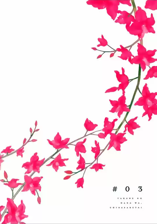 Takane No Hana Wa Chirasaretai - Capítulo 3 - Página 7 - LectorTMOo