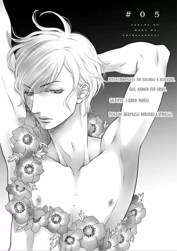 Takane No Hana Wa Chirasaretai - Capítulo 5 - Página 5 - LectorTMOo