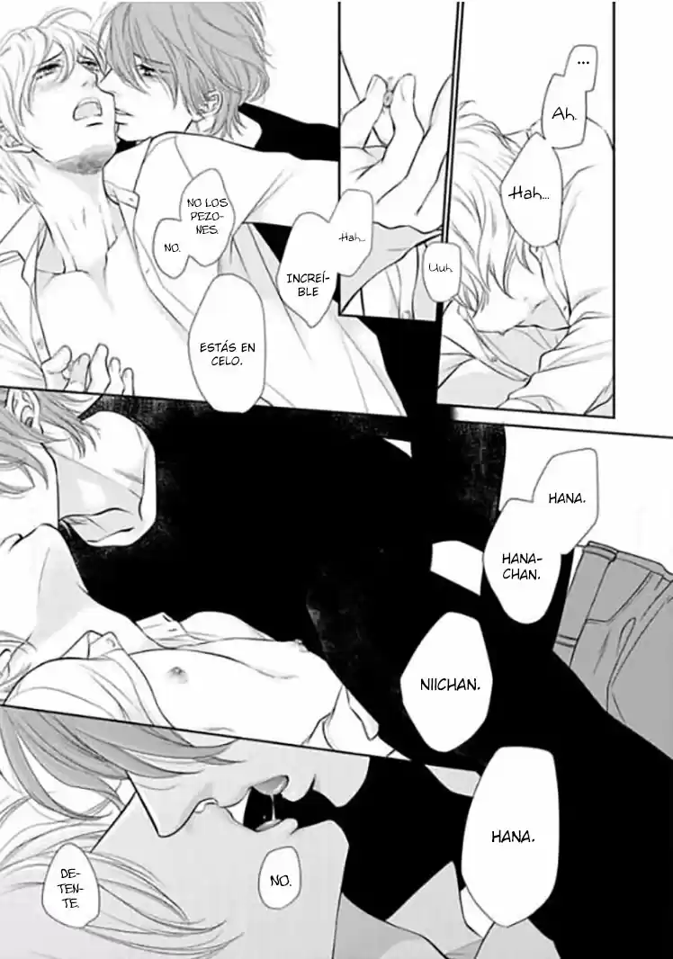 Takane No Hana Wa Chirasaretai - Capítulo 5 - Página 29 - LectorTMOo