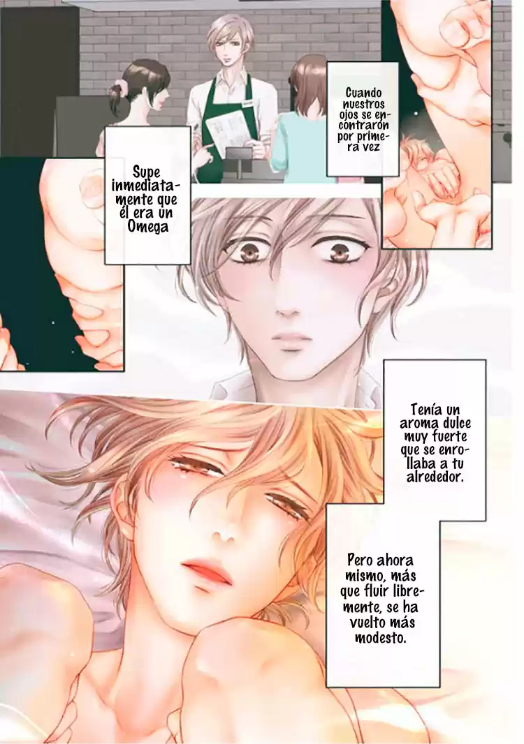 Takane No Hana Wa Chirasaretai - Capítulo 6 - Página 5 - LectorTMOo