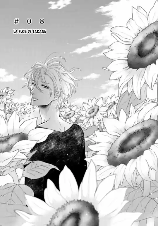 Takane No Hana Wa Chirasaretai - Capítulo 8 - Página 5 - LectorTMOo