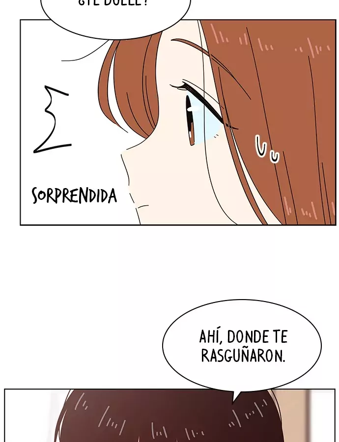 Temporada De Flores - Capítulo 27 - Página 72 - LectorTMOo