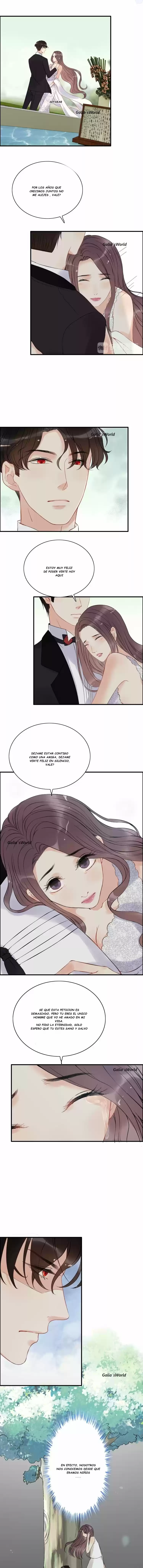 The Ceo's Pregnant Wife - Capítulo 116 - Página 3 - LectorTMOo