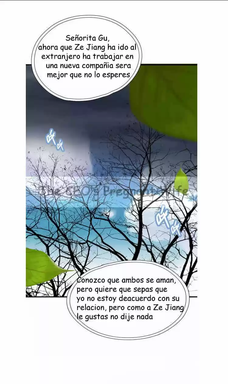 The Ceo's Pregnant Wife - Capítulo 2 - Página 11 - LectorTMOo