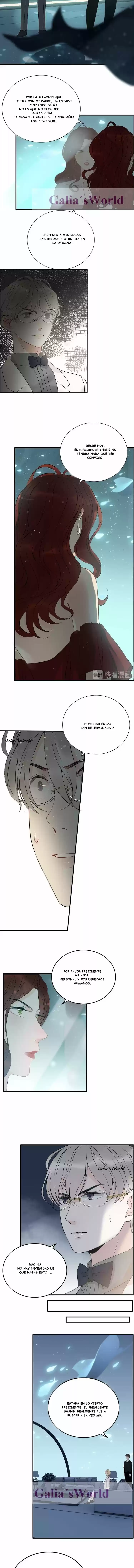 The Ceo's Pregnant Wife - Capítulo 204 - Página 3 - LectorTMOo