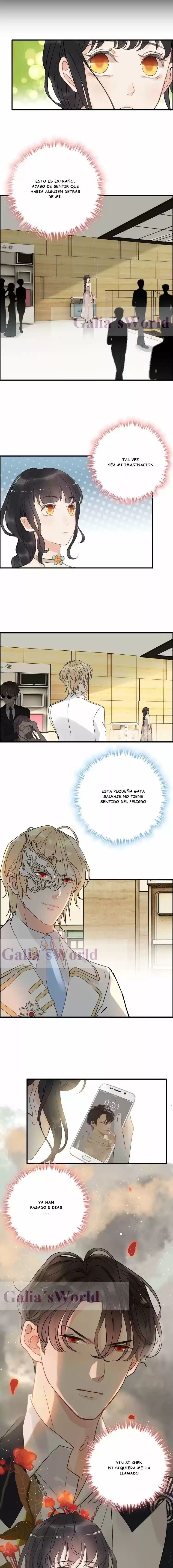 The Ceo's Pregnant Wife - Capítulo 206 - Página 8 - LectorTMOo