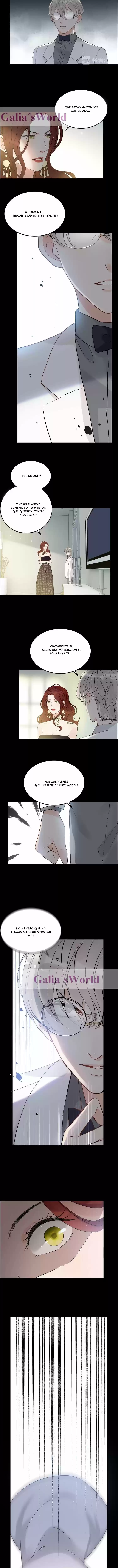 The Ceo's Pregnant Wife - Capítulo 211 - Página 2 - LectorTMOo