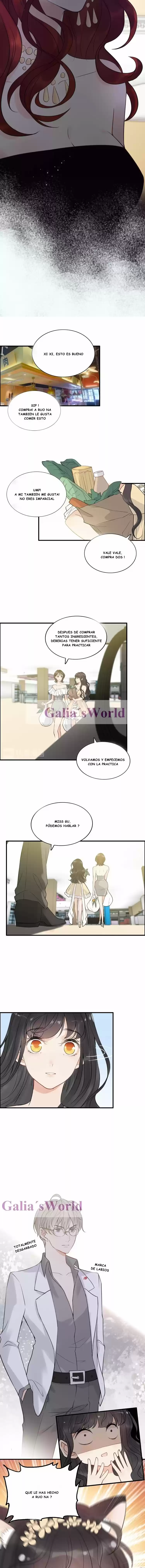 The Ceo's Pregnant Wife - Capítulo 212 - Página 3 - LectorTMOo