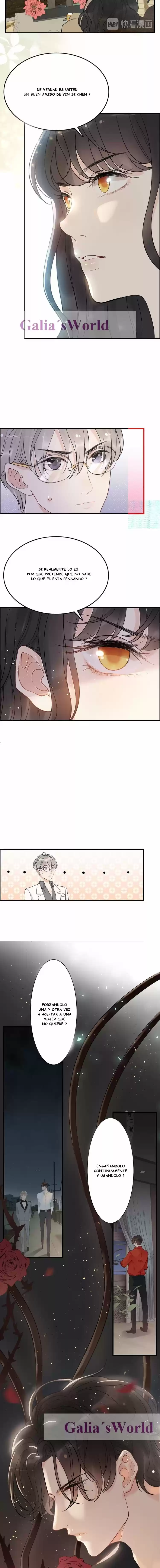 The Ceo's Pregnant Wife - Capítulo 213 - Página 4 - LectorTMOo