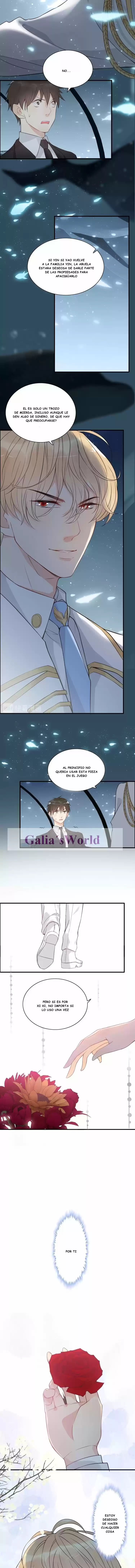 The Ceo's Pregnant Wife - Capítulo 214 - Página 4 - LectorTMOo