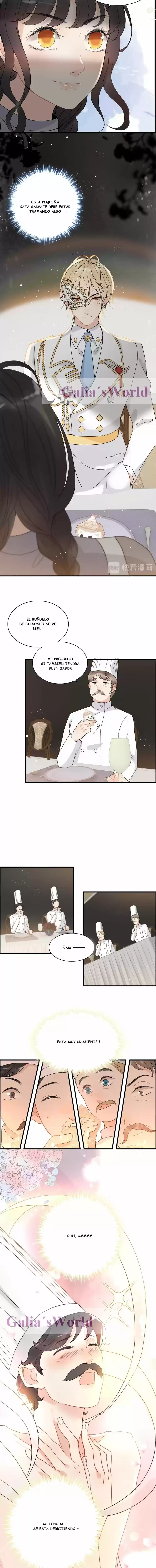 The Ceo's Pregnant Wife - Capítulo 218 - Página 3 - LectorTMOo
