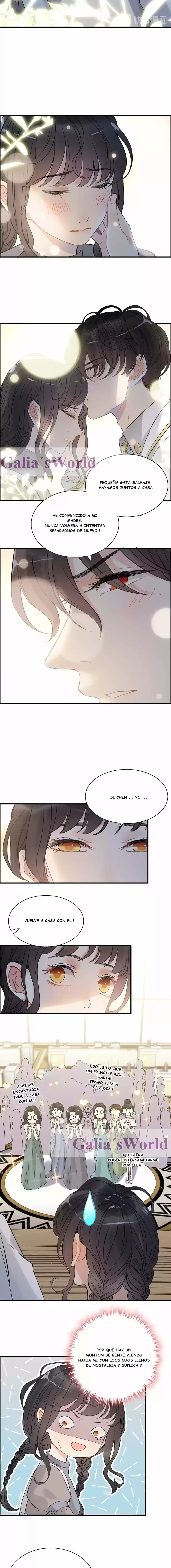 The Ceo's Pregnant Wife - Capítulo 220 - Página 3 - LectorTMOo