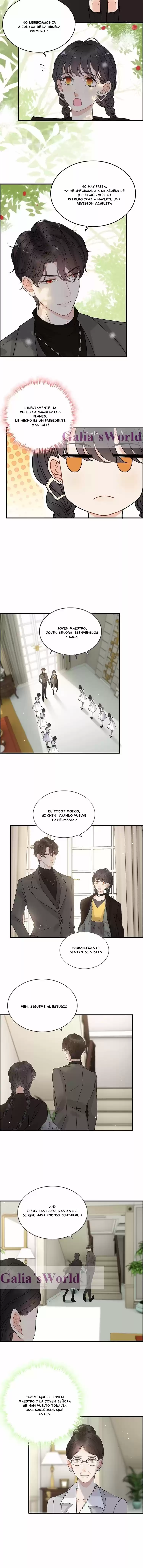 The Ceo's Pregnant Wife - Capítulo 222 - Página 2 - LectorTMOo